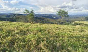 Imagem 4: Linda fazenda com 43 alqueires e meio. Linda, toda formada