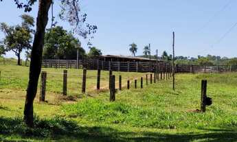 Imagem: Fazenda 128 Alqueires Cultura em Morrinhos