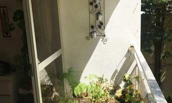 Imagem 4: Apartamento-Padrao-para-Venda-em-Cambui-Campinas-SP