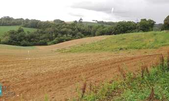 Imagem 5: TERRENO CONTENDA - TE392