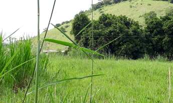 Imagem 6: Vendo Sítio na Estrada de Piacatuba/Leopoldina