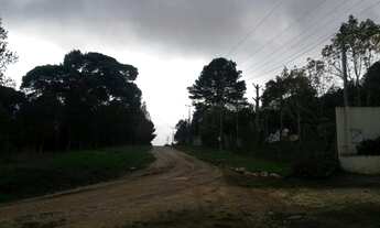 Imagem 7: VAMOS PRESERVAR A NATUREZA EXCELENTE CHACARA EM CAMPINA GRANDE DO SUL