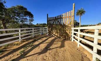 Imagem: OPORTUNIDADE