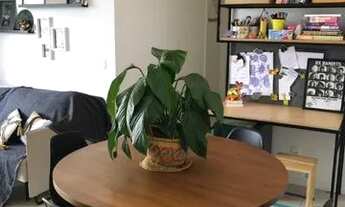 Imagem 4: FLORIANóPOLIS - Apartamento Padrão - Trindade