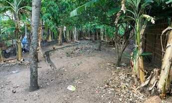 Imagem 2: Casa com Ponto Comercial em Boca da Ilha- Estrada Genipabu