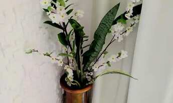 Imagem 4: Flet mobiliado Jd. Oliveira