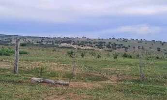 Imagem 3: FAZENDA 1060 HECTARES EM CORGUINHO/MS