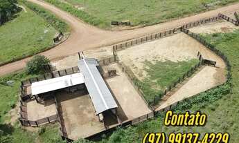 Imagem 4: EXCELENTE PROPRIEDADE