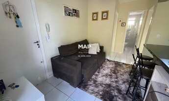 Imagem 7: SãO JOSÉ DOS PINHAIS - Padrão - afonso Pena