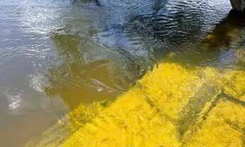 Imagem 6: CHACARA NO AU-AU SENTIDO AUTO ALEGRE