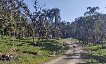 Imagem 6: Terreno em Clube de Campo, Divisa Joinville/SC x Campo Alegre/SC