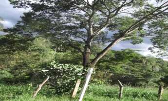 Imagem: Fazendinha rural de 6.5 ha, Jaboticatubas