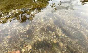 Imagem 6: Banho no Auau coletivo