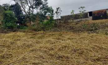 Imagem 4: Área no Coração próximo ao cemitério mais de 750m²