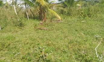 Imagem 6: Sitio em São Lourenço da mata