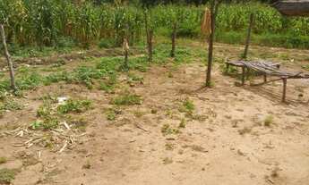 Imagem 5: Fazenda para Venda em São Braz do Piauí
