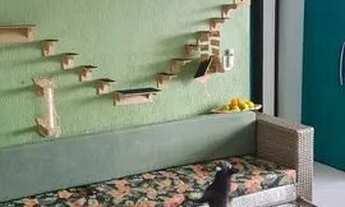 Imagem 3: Ribeirão das Neves - Apartamento Padrão - Centro Comercial de Justinopolis