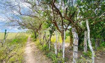 Imagem 7: VENDO 56 TAREFAS NO DISTRITO DE MATINHA