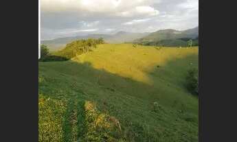 Imagem 2: 23.6 Hectares (ideal gado