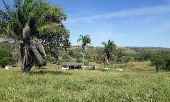 Imagem 6: Fazenda de 104 alqueires em Baliza-GO