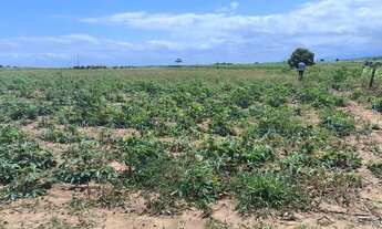 Imagem 5: Venda-se este terreno escriturado de 24.200 mil M2 no Município de Marataízes/ES
