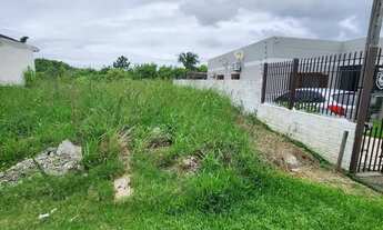 Imagem 5: À Venda: Terreno Estratégico no Bom Jesus, Pelotas (527m²), com 10x52, ideal para sua casa