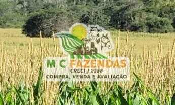 Imagem 5: Fazenda c/ 295 Tarefas à Venda em Jeremoabo - BA