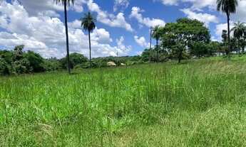 Imagem 3: Terreno 4.5 ha, 100% formado em pastagem, agua corrente nos fundos, pomar