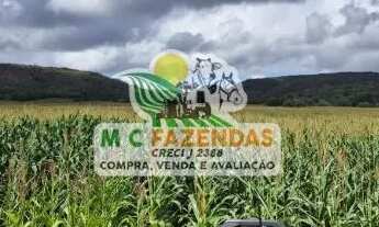 Imagem 6: Fazenda c/ 295 Tarefas à Venda em Jeremoabo - BA