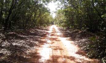 Imagem 6: Lote em Felixlândia