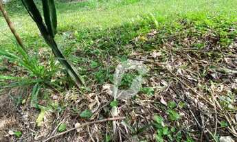 Imagem 5: Terreno à venda, 560 m² por R$ 135.000,00 - Serra Grande - Niterói/RJ