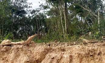 Imagem 4: Oportunidade: terreno de 1.000m² na divisa de São Roque a partir de R$100 mil