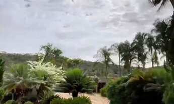 Imagem 5: Fazenda DF Planaltina/Formosa BR O20