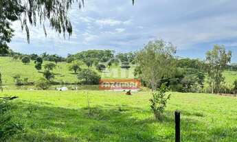 Imagem 7: Sítio a venda a 20 minutos de Goiânia. Área total: 9.5 alqueire