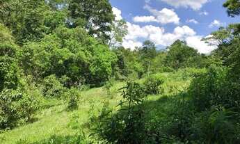 Imagem 6: Sitio 26.700 m² em Mogi das Cruzes