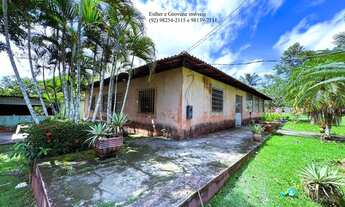 Imagem 5: Sítio Terreno Chácara KM 08 BR 174 Ramal Claudio Mesquita e da Capivara Manaus-AM 7.139m²