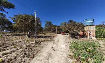 Imagem 7: Vendo ótima chácara no núcleo rural quintas do Maranhão