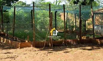 Imagem 2: Chácara com 2 dormitórios à venda, 3000 m² por R$ 350.000,00 - Vila Falavina - São José do