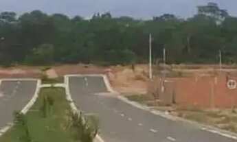 Imagem: LOTE PRÓXIMO CAFÉ BRASILEIRO