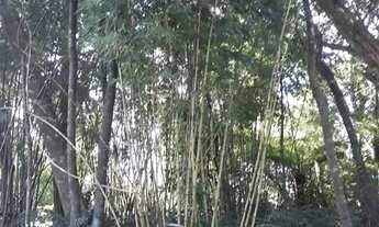 Imagem 4: Área de terras com vista deslumbrante para o vale e montanhas. Linha Imperial. REF: 242