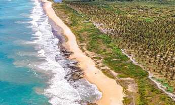 Imagem: VENDO ÁREA À BEIRA-MAR ALAGOAS