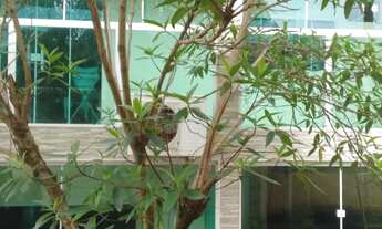 Imagem 2: Casa grande Casa com 4 dormitórios