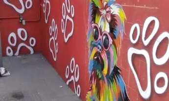 Imagem 3: COMERCIAL - VILA BUTANTÃ - SP