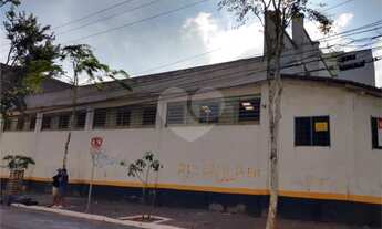 Imagem: Galpão à venda em Campos Elíseos - SP