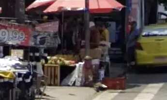 Imagem: Imóvel para aluguel com 1000 metros quadrados