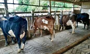 Imagem: Fazenda à Venda em Mimoso do Sul 49 Alqueires