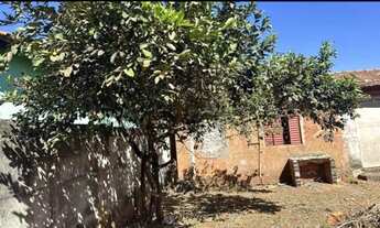 Imagem 3: Vende-se lote com barracão em trindade -Goiás