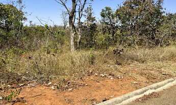 Imagem: Area 1.000,00m² (Asfalto e Agua) Setor