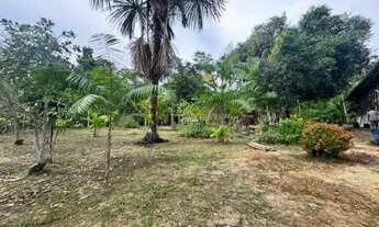 Imagem 2: SÍTIO COM VISTA PARA O RIO, TARUMÃ MIRIM, ACESSO PELO RIO E BR174