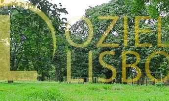 Imagem 5: CHÁCARA 08 HECTARES INCRA 08 CASA 04 QUARTOS PISCINA CHURRASQUEIRA 2km CHÃO MUITA ÁGUA 5km